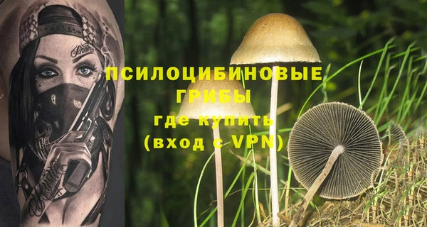 тгк Зеленокумск
