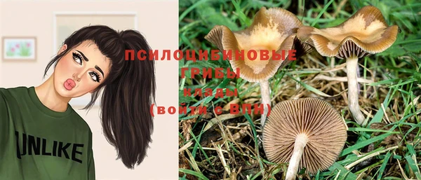 mdpv Зерноград