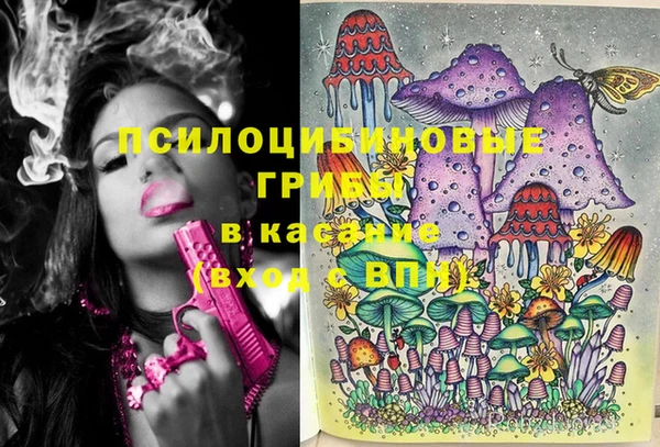 тгк Зеленокумск