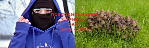 тгк Зеленокумск
